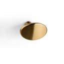 Ver imagem 1 de Puxador Ponto Beetle sem Base Gold Escovado Zen Design Zp5403.b00