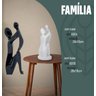 FAMÍLIA Premium Sem Base Cinza Nardo - 2