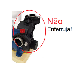 Pressurizador de Água Inova -gp 280 Pps -bivolt - Termoplástica de Alta Performance - com Pressostat - 4