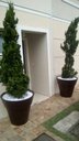 Ver imagem 7 de Vaso Planta 70x80 Ibiza Polietileno BGPLASTICOS MARROM CAFE 003