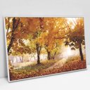 Ver imagem 1 de Quadro Decorativo em Canvas Outono - Moldura Branca - 90 x 60cm