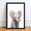 Ver imagem 2 de Quadro Decorativo Bebê Elefantinho 33x24cm - com vidro:Madeira preta