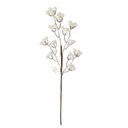 Ver imagem 3 de Galho Decorativo com Bagas de Eps Branco 57cm