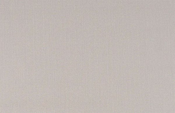 Papel de Parede Liso Texturizado Marrom Claro - PP391 Rolo de 16m2 - 2