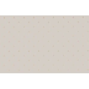Papel de Parede Barroco Clássico - Pp371-1 Rolo de 5m2