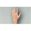 Ver imagem 5 de Papel de Parede Floral - Pp402 Rolo de 5m2