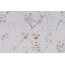 Ver imagem 2 de Papel de Parede Floral Metalizado - Pp403-1 Rolo de 5m2
