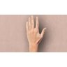 Papel de Parede Liso Texturizado Tom de Pele - PP417-1 Rolo de 1m2 - 5