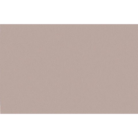 Papel de Parede Liso Texturizado Bege - Pp416 Rolo de 5m2