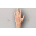 Ver imagem 5 de Papel de Parede Barroco Clássico - Pp371 Rolo de 5m2