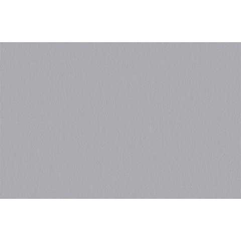 Papel de Parede Liso Texturizado Cinza - Pp418-1 Rolo de 5m2