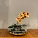 Ver imagem 2 de Arranjo Centro de Mesa Orquídea Tigre Rosa Artificial Vaso Espelhado
