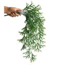 Ver imagem 3 de 7 Buquês Planta Artificial Pendente Chifre de Veado Jardim Vertical Decoração Luxo