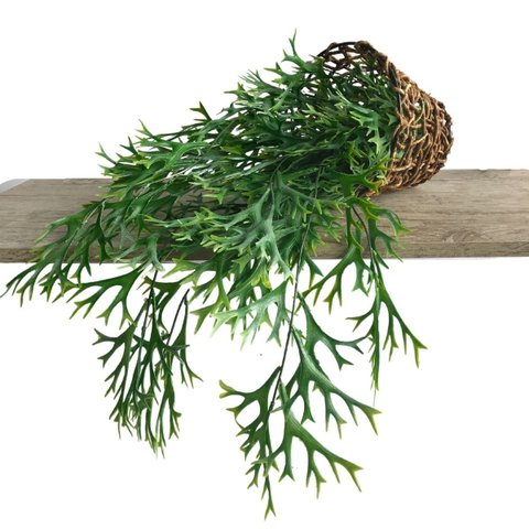7 Buquês Planta Artificial Pendente Chifre de Veado Jardim Vertical Decoração Luxo