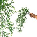 Ver imagem 6 de 7 Buquês Planta Artificial Pendente Chifre de Veado Jardim Vertical Decoração Luxo
