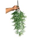 Ver imagem 4 de 7 Buquês Planta Artificial Pendente Chifre de Veado Jardim Vertical Decoração Luxo