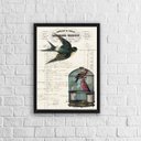 Ver imagem 2 de Quadro Pássaro Com Gaiola Vintage 33x24cm - com vidro:Madeira branca