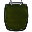 Ver imagem 1 de Assento Sanitário Stylus Verde Degrade para vaso Celite
