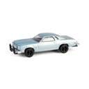 Ver imagem 1 de Miniatura 77 Chevy Chevelle Malibu Sawyer 1:64 Greenlight
