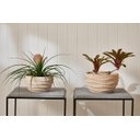 Ver imagem 4 de Kit Cachepots em Cimento Vaso Decoração Beje Detalhado 2 Pç