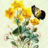 Quadro Decorativo Frésia Amarelo (Papel Fotografico)| Paisagem 120 X 90 cm - 1