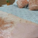 Ver imagem 3 de Peseira Pelucia Pelo Alto 200 X 60 Cm - Rosa (rose)