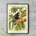 Ver imagem 1 de Quadro Passarinho Preto com Frutos 24x18cm - com Vidro:moldura Branca