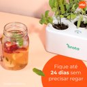 Ver imagem 5 de Horta Inteligente Branca com Led (20x20cm) Brota Company