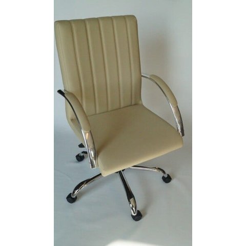 Cadeira de Escritório Presidente/diretor Work