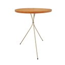 Ver imagem 1 de Mesa Redonda Lateral Pés Palito Metal Apoio Sofá Metal Madeira Nozes Champagne 38 x 45cm Pé Palito