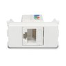 Kit Tomada Padrão Brasileiro Twdin - Conector Rj45 (ethernet) Categoria 5e + Suporte Branco - 5