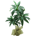 Ver imagem 1 de Planta Dracena Lyrata Artificial P/decoração de Casa Permanente Toque Real