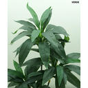 Ver imagem 2 de Planta Dracena Lyrata Artificial P/decoração de Casa Permanente Toque Real