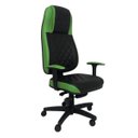 Ver imagem 1 de Cadeira Gamer para Escritório Linha Gamer Cagliari Verde