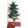 Planta Artificial Árvore ALOCASIA 1,60 metros de altura - 1