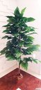 Ver imagem 4 de Planta Artificial Árvore ALOCASIA 1,60 metros de altura