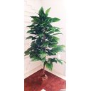 Ver imagem 4 de Planta Artificial Árvore ALOCASIA 1,60 metros de altura