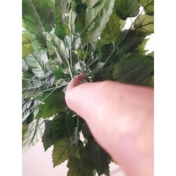 Planta Artificial Árvore ALOCASIA 1,60 metros de altura - 2