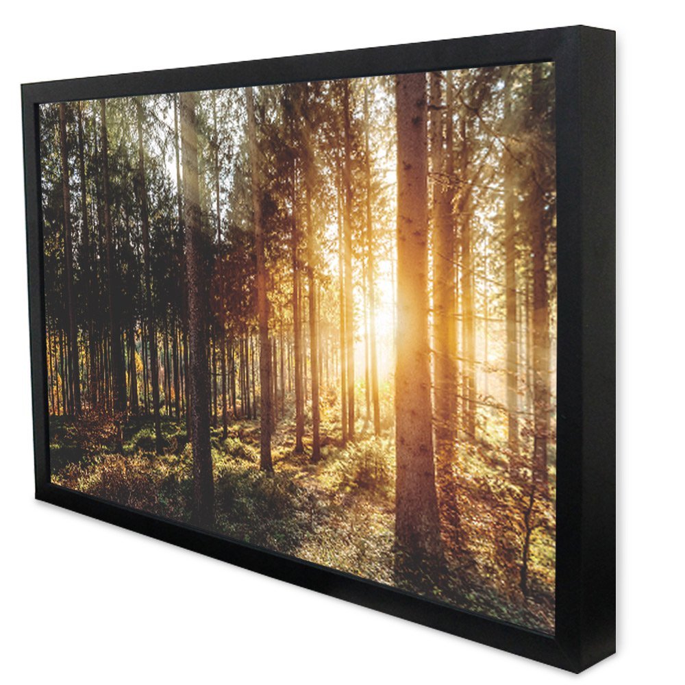 Quadro Decorativo Caixa Alta com Vidro A Natureza na Luz do Sol  TaColado Moldura Branca 40x60cm