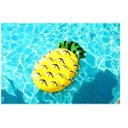 Ver imagem 4 de Boia Abacaxi Divertida - Mor