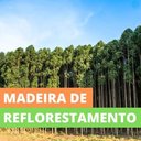 Ver imagem 7 de Guarda Roupa Casal com Cabeceira 5 Portas 3 Gavetas Jequitibá J&A Móveis Cancun 200x204x47