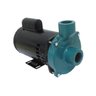 Motobomba Centrífuga Monoestágio 1,5cv ECS-150/T-A - Eletroplas - 1