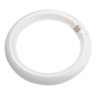 Lâmpada Fluorescente Circular Bivolt 22w T9 - 8381 - 1