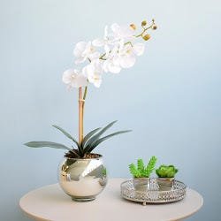 Arranjo de Orquídea Artificial Branca no Vaso Espelhado Pequeno |linha Permanente Formosinha - 4