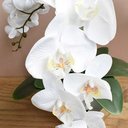 Ver imagem 2 de Flores artificiais Arranjo de Orquídeas Branco Artificial no Vaso Espelhado|Linha permanente