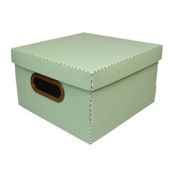 Caixa Organizadora Verde Claro Grande | Linha Organize Formosinha - 1