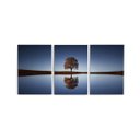 Ver imagem 1 de Quadro decorativo para sala 60x120cm Árvore quarto Grande