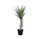 Ver imagem 1 de Planta Artificial Sisal com Pote Verde
