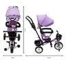 TRICICLO FERRO 3 EM 1 VIRA BICICLETA CARRINHO bebê TETO ROXO - MC4826RX - 3