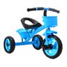 TRICICLO INFANTIL TICO TICO FERRO CESTINHA - MC5038 Azul - 1